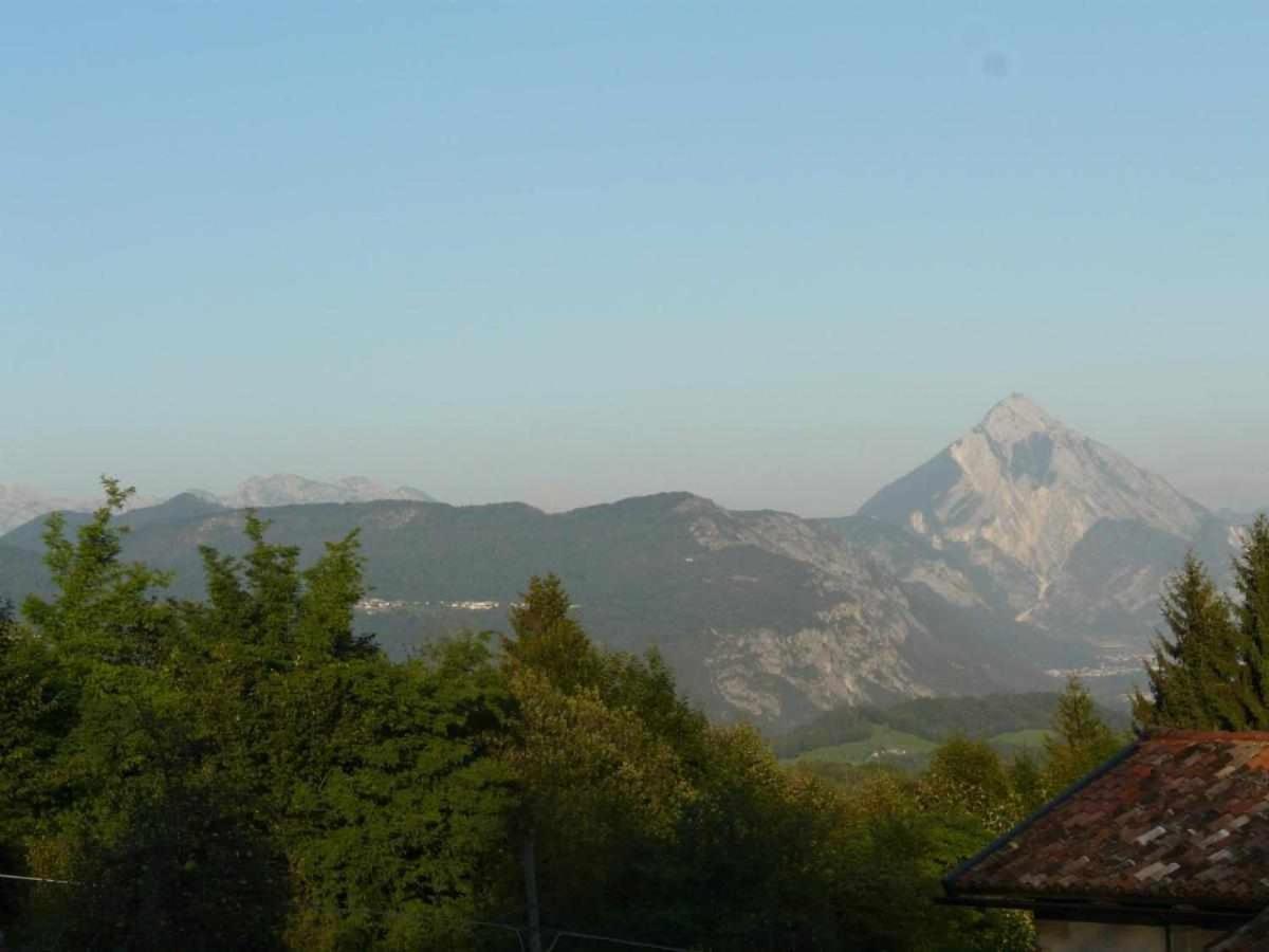 Il Bearc * Feltrone