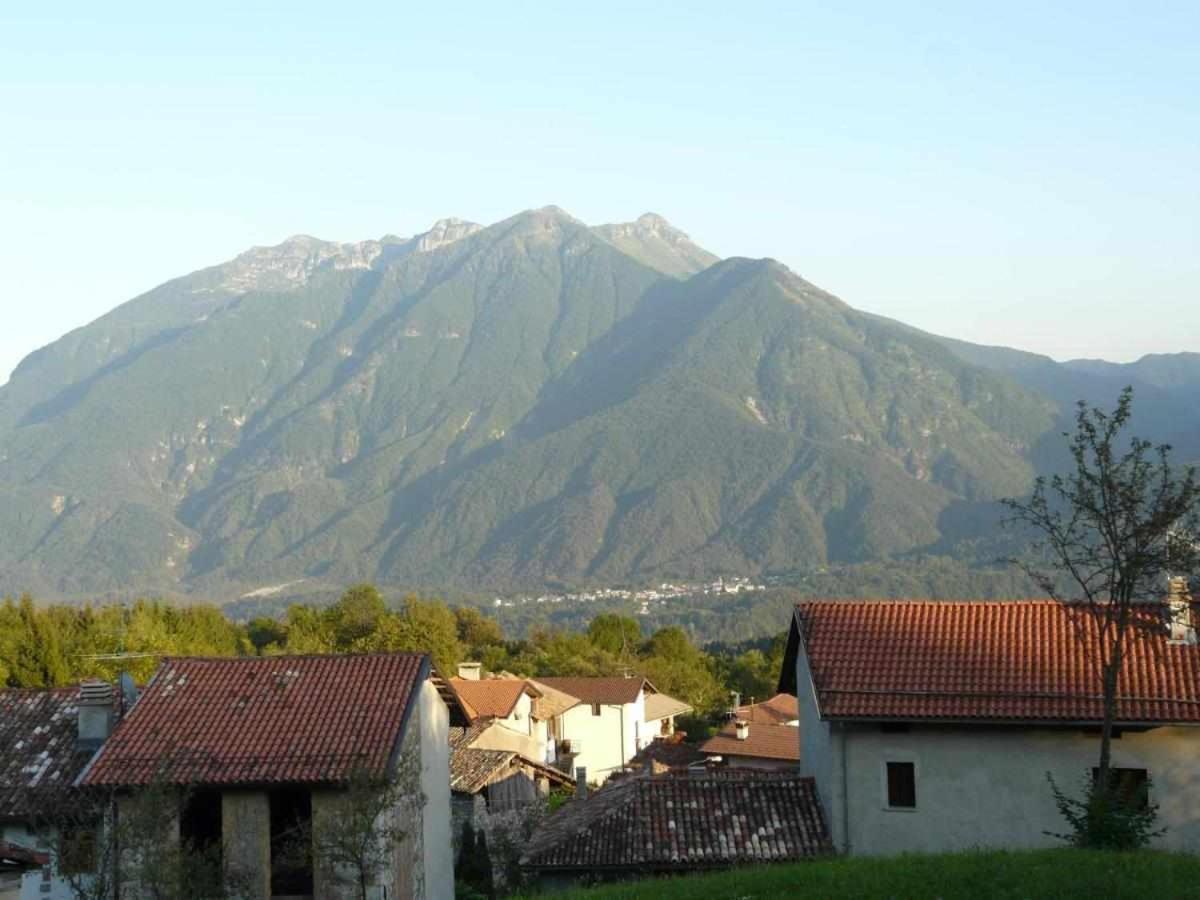 Il Bearc Feltrone